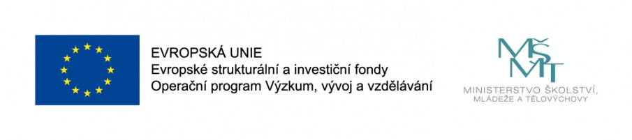 Šablona 2 EUMSMST